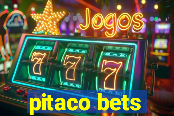 pitaco bets